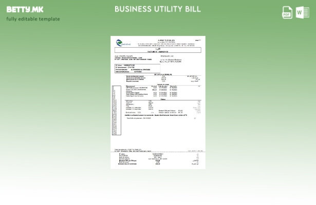 Модерен стил шаблон за деловна сметка за комунални услуги на Алжир Телеком
